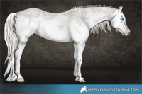 Horse Color:Silver Smoky Blue Ice Roan Splash