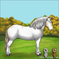 Horse Color:White Spotted Palomino Dun 