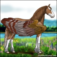 Horse Color:Chestnut Splash 