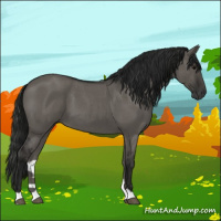 Horse Color:Gray Grullo Roan 