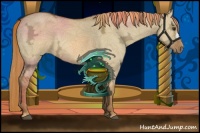 Horse Color:Red Dun Ice 