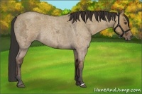 Horse Color:Bay Ice Roan Dun 