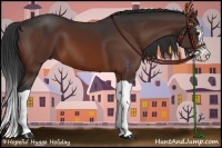 Horse Color:Brown Splash 