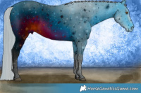 Horse Color:ERROR: UNKNOWN ANOMALY