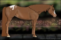 Horse Color:Chestnut Blanket 