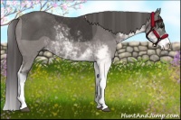 Horse Color:Smoky Black Sabino
