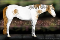Horse Color:White Spotted Chestnut Tobiano 