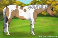 Horse Color:Bay Dun Tobiano 