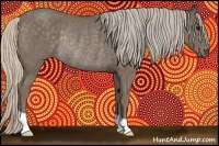 Horse Color:Silver Blue Roan Rabicano 