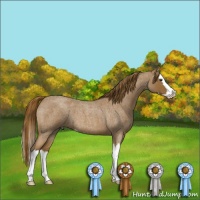 Horse Color:Red Roan Splash 