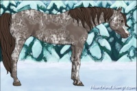Horse Color:Liver Chestnut Ice 