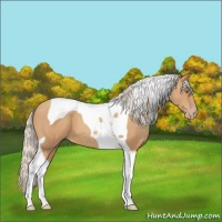 Horse Color:Silver Classic Champagne Tobiano 