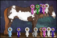 Horse Color:Liver Chestnut Frame Appaloosa 