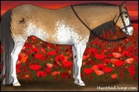 Horse Color:White Spotted Buckskin 