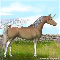 Horse Color:Silver Grullo Sabino Tobiano