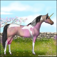 Horse Color:Bay Roan Dun Tobiano 