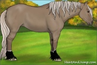 Horse Color:Silver Grullo 