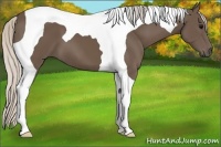 Horse Color:Silver Black Tobiano 