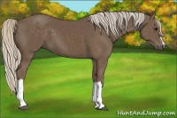Horse Color:Silver Black 