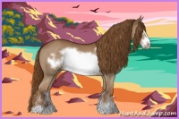 Horse Color:Chestnut Sabino Frame