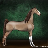 Horse Color:Liver Red Dun 