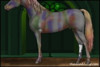 Horse Color:Nacre Liver Chestnut 