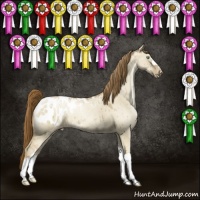 Horse Color:Smoky Grullo Pearl Appaloosa