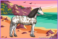 Horse Color:Buckskin Sabino Splash Near Leopard 