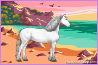 Horse Color:Brown Pearl Sabino Appaloosa 