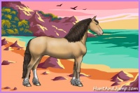 Horse Color:Amber Champagne 