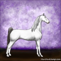 Horse Color:Smoky Grullo Tobiano Frame Appaloosa 