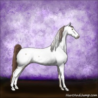 Horse Color:White Spotted Liver Red Dun Appaloosa 