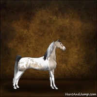 Horse Color:Brown Dun Tobiano Frame Appaloosa Brindle
