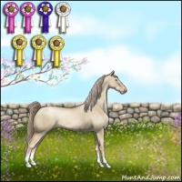 Horse Color:Chocolate Palomino Pearl Dun