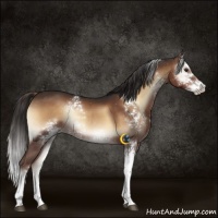 Horse Color:White Spotted Liver Red Onyx Splash Rabicano 
