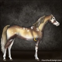 Horse Color:White Spotted Liver Red Onyx Splash 