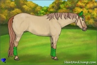 Horse Color:Red Dun Brindle