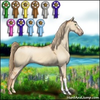 Horse Color:Gold Champagne Dun