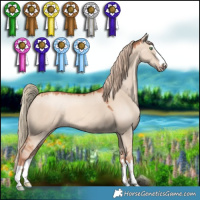 Horse Color:Gold Champagne Dun 