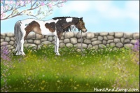 Horse Color:Brown Tobiano Snowflake Varnish 