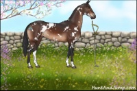 Horse Color:White Spotted Brown 