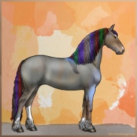Horse Color:Painted Liver Red Dun Sabino