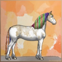 Horse Color:Painted White Spotted Chocolate Palomino Dun Sabino Splash Rabicano