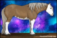 Horse Color:Chocolate Palomino Splash 