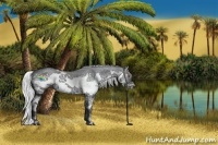 Horse Color:Silver Grullo Chinchilla Splash Frame 