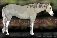 Horse Color:Silver Grullo Ice Sabino Splash