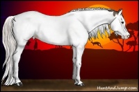 Horse Color:Silver Black Splash Tobiano 