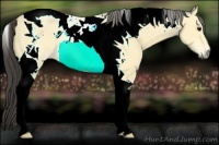 Horse Color:Buckskin Tobiano 