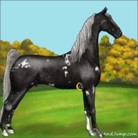 Horse Color:White Spotted Liver Chestnut Ice 