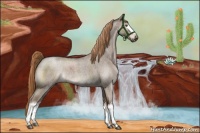 Horse Color:White Spotted Liver Red Dun Roan 